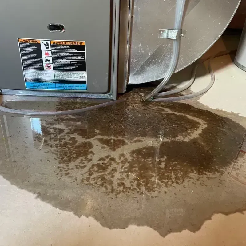 Appliance Leak Cleanup in Winfield, MO